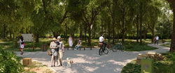 Public Park